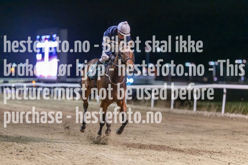 20231116-212756-DSC_6699