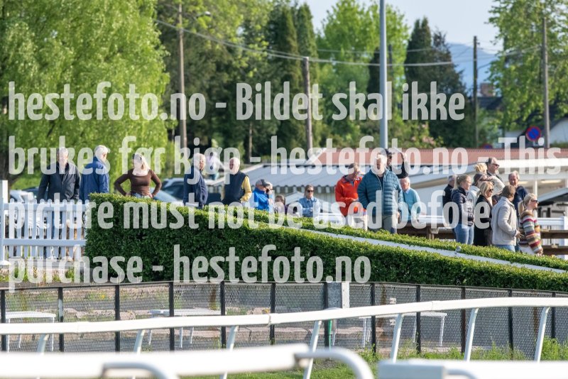 20230525-183857-DSC_7551