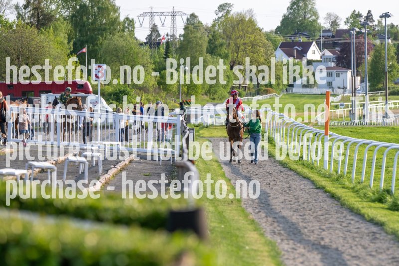 20230525-191238-DSC_8539