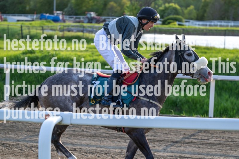 20230525-195220-DSC_0574