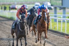 20230525-181901-DSC_7165