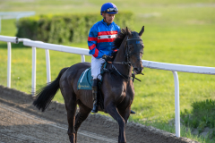 20230525-190207-DSC_8207