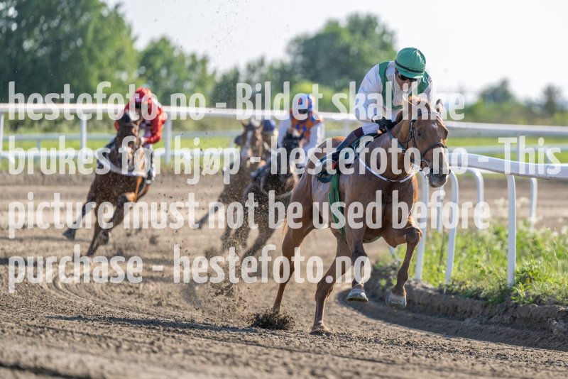 20230608-184148-DSC_0430