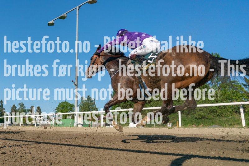 20230608-190822-DSC09503