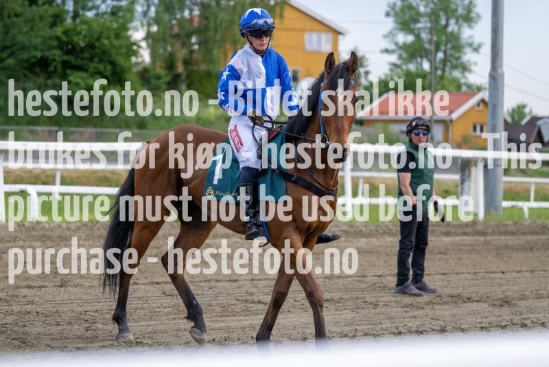 20230615-181435-DSC_5114