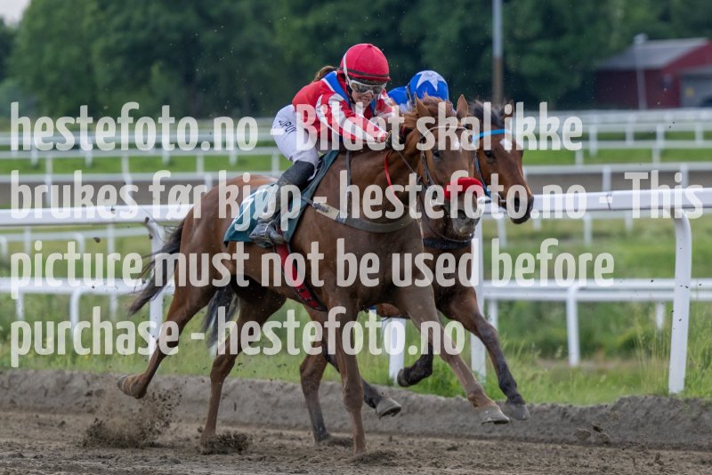 20230615-181748-DSC_5333