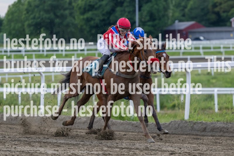 20230615-181748-DSC_5334