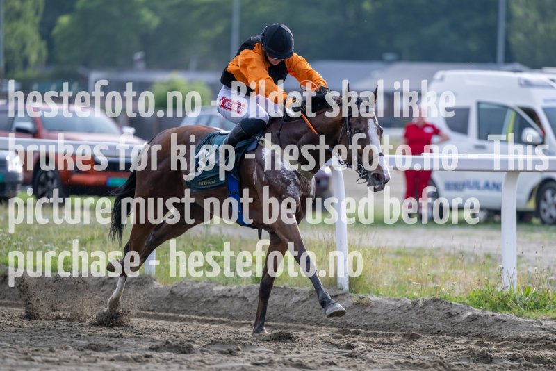 20230615-184433-DSC_5616
