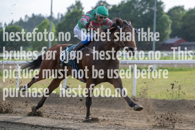 20230615-191103-DSC_5731