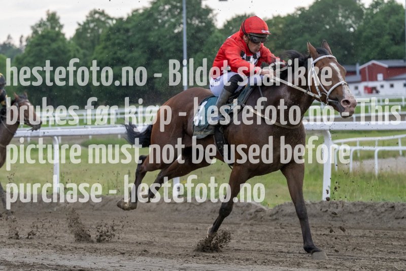 20230615-193624-DSC_5816