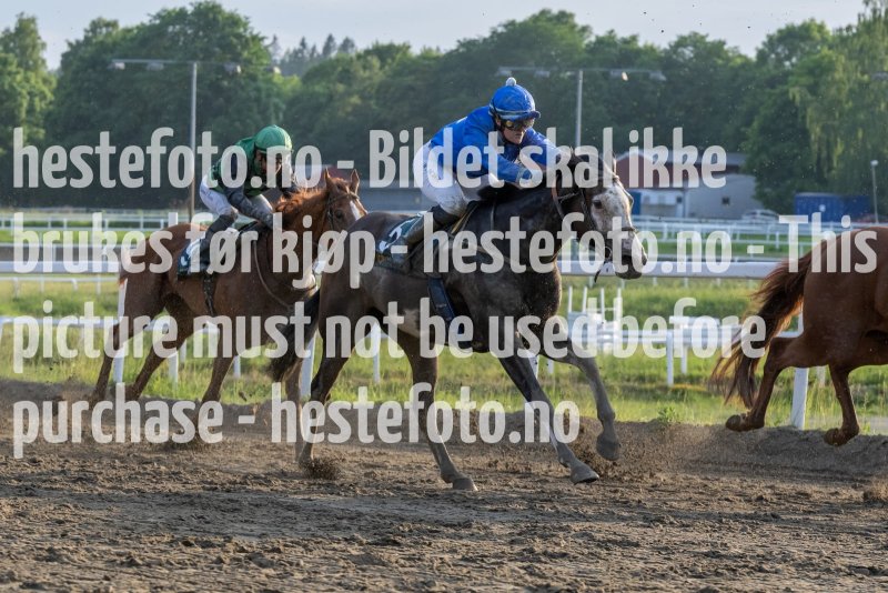 20230615-202451-DSC_6389