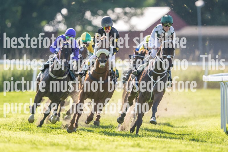 20230624-175132-DSC_7164