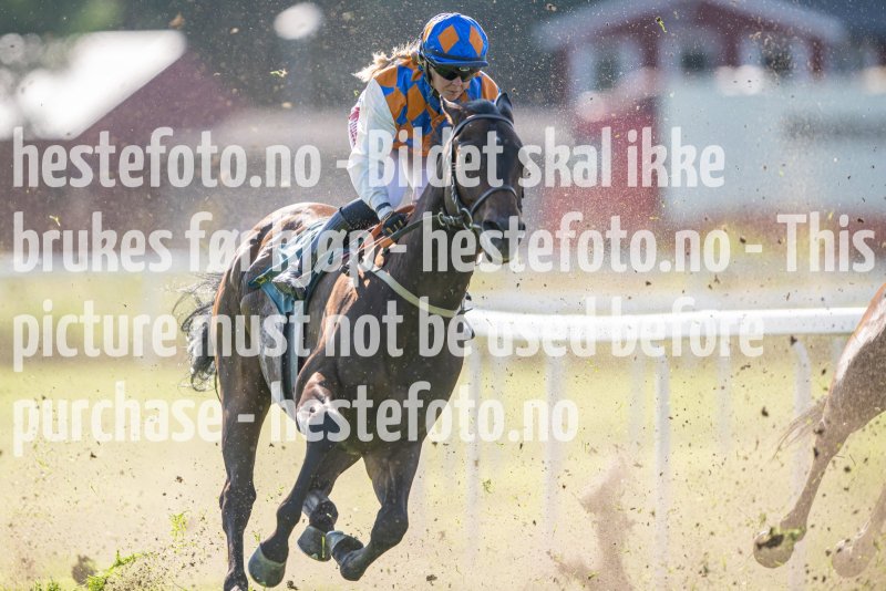 20230624-175134-DSC_7191