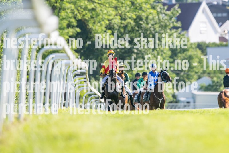 20230624-181348-DSC_7497