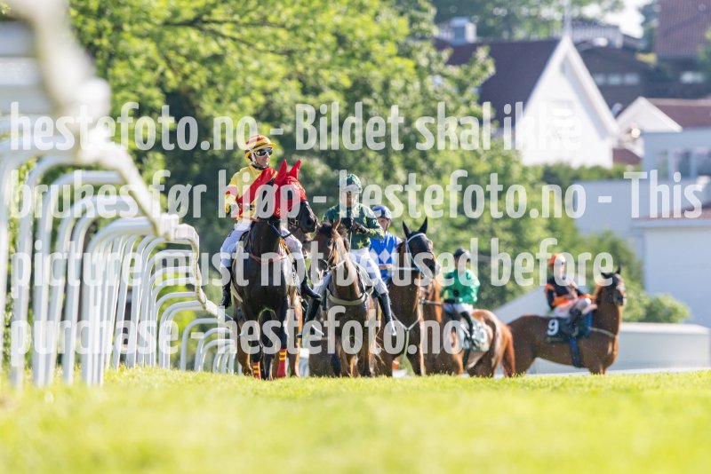 20230624-181356-DSC_7514