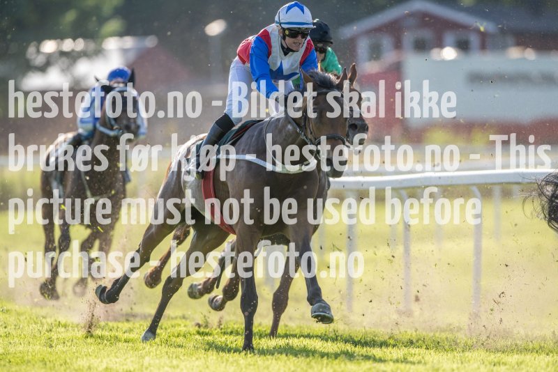 20230624-182340-DSC_7710
