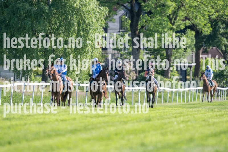 20230624-184122-DSC_7895