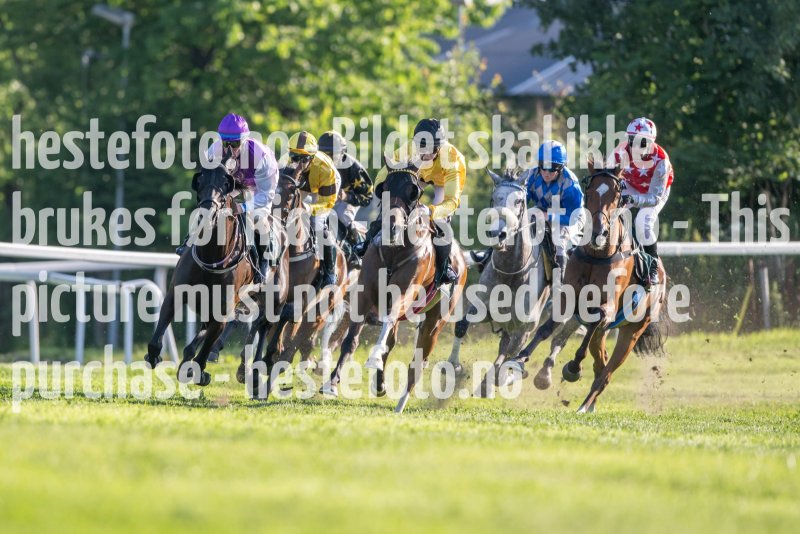 20230624-191306-DSC_8242