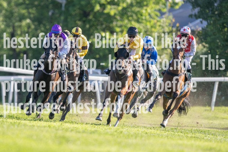 20230624-191306-DSC_8251
