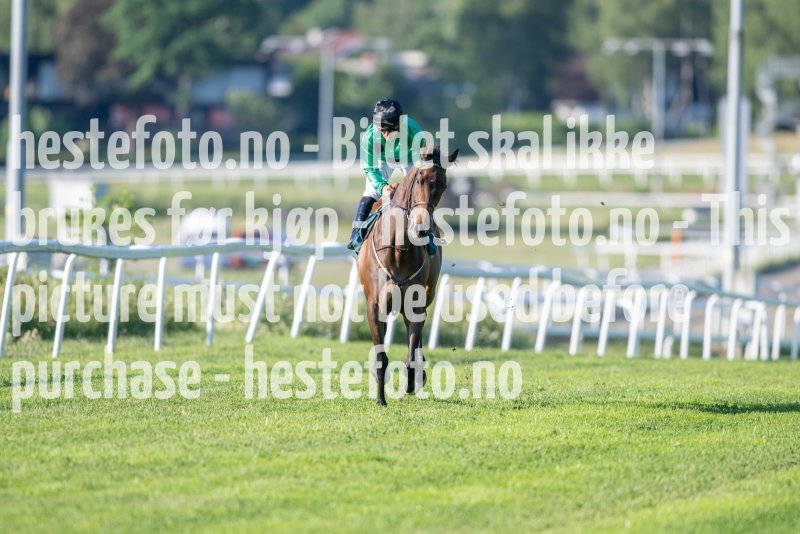 20230624-192904-DSC_8380