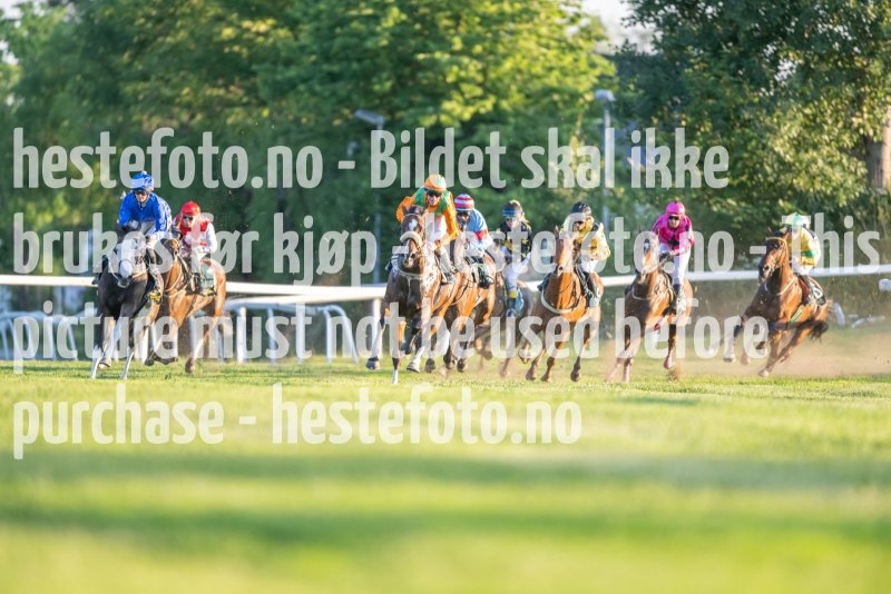 20230624-211603-DSC_9503
