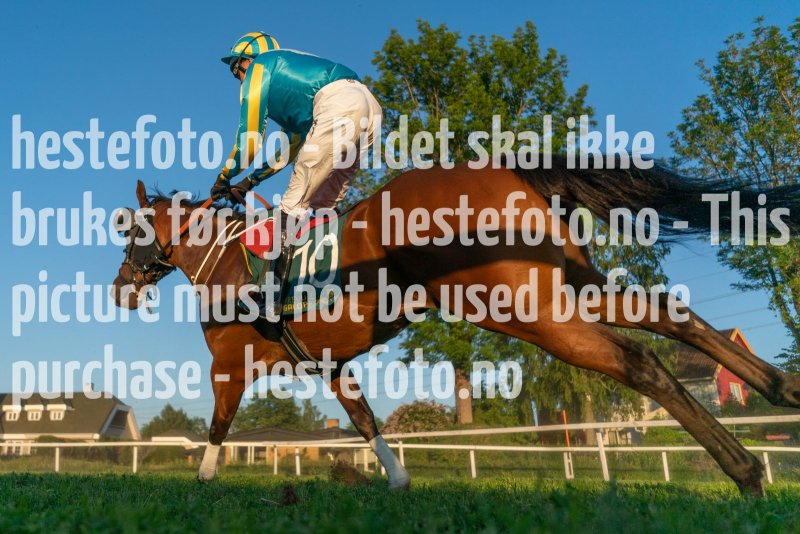 20230624-211626-DSC03619