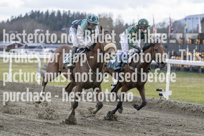 20240425-184350-DSC_2103