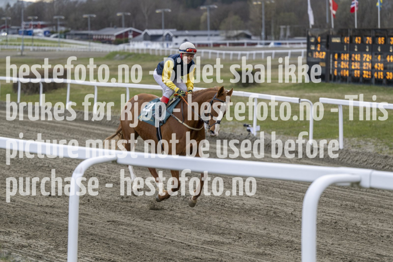 20240425-192823-DSC_2762