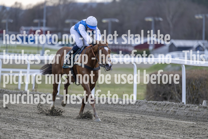 20240425-194016-DSC_3035
