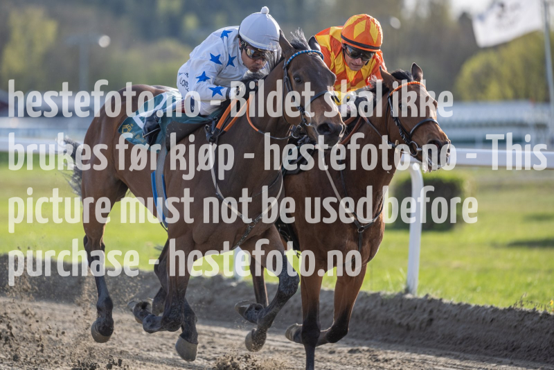 20240502-181910-DSC0698
