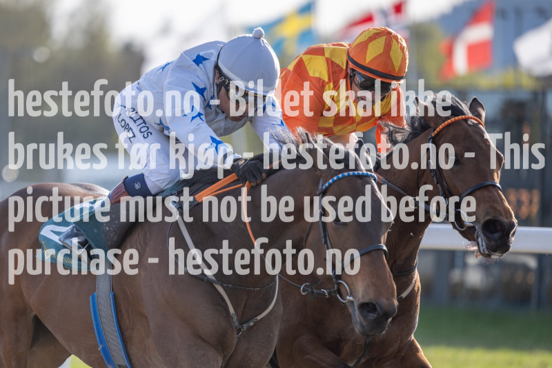 20240502-181910-DSC0700
