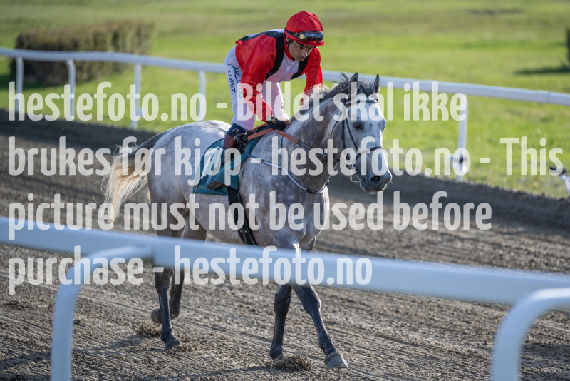 20240502-183601-DSC0720