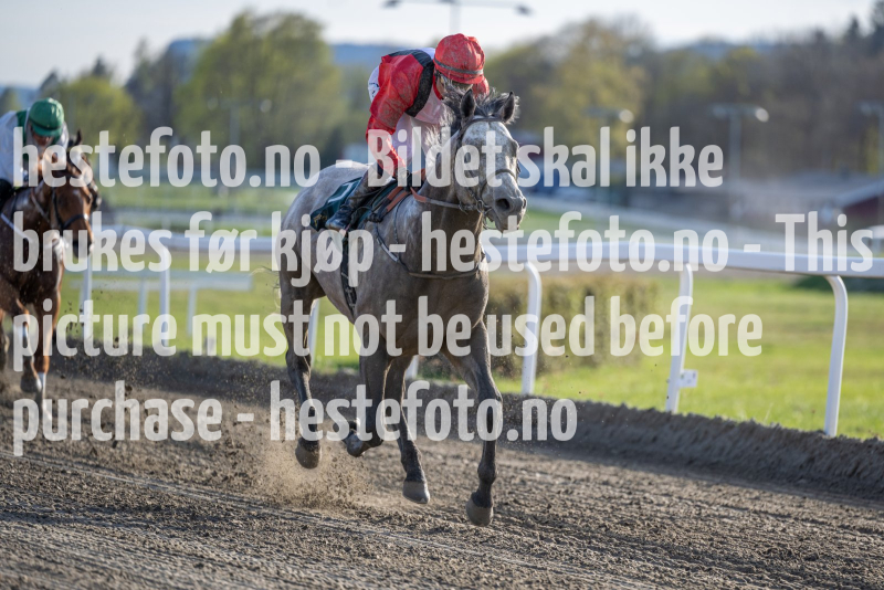 20240502-184142-DSC0763
