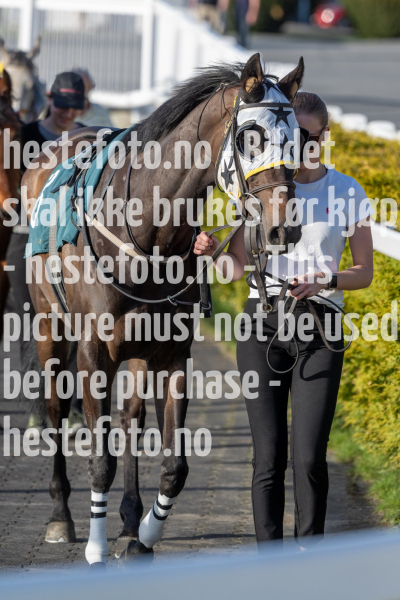 20240502-191736-DSC0986