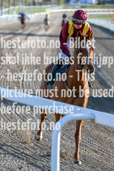 20240502-192815-DSC_1303