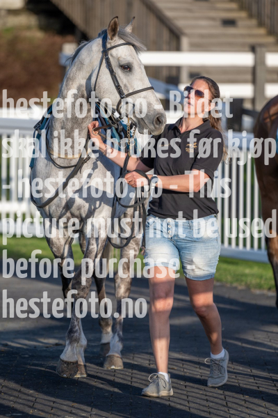 20240502-194818-DSC1345