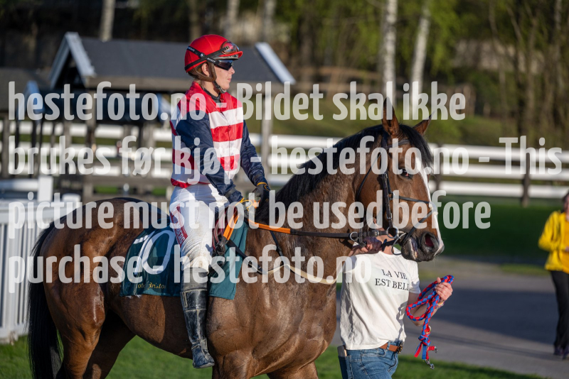 20240502-195133-DSC1441