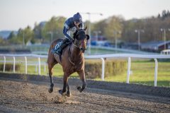 20240502-195934-DSC1463