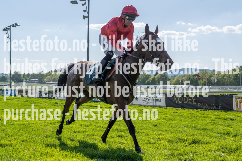 20240517-163433-DSC3879
