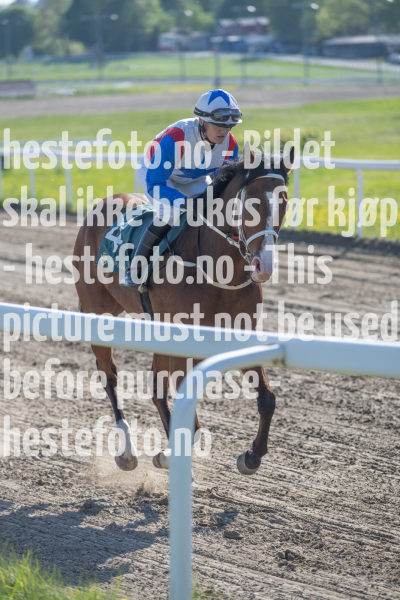 20240517-171322-DSC3989