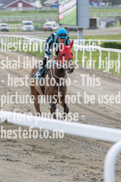 20240523-190231-DSC4395