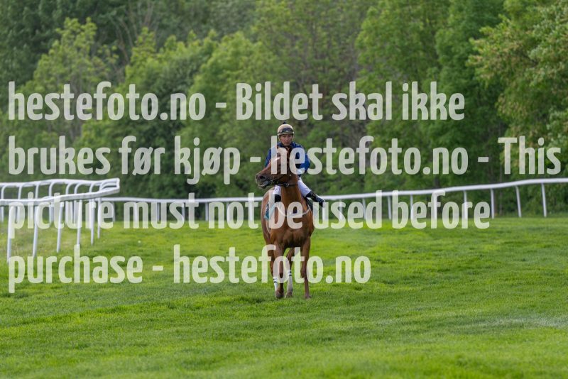 20240523-190501-DSC_8430