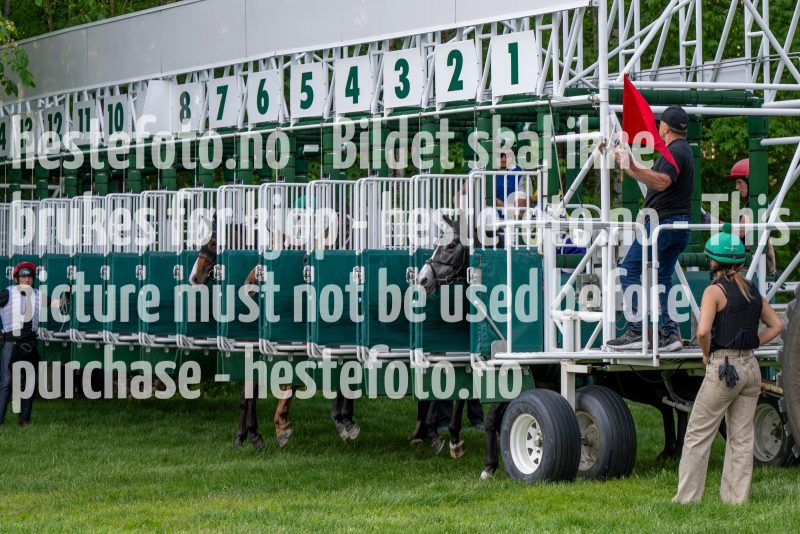 20240523-190915-DSC_8587