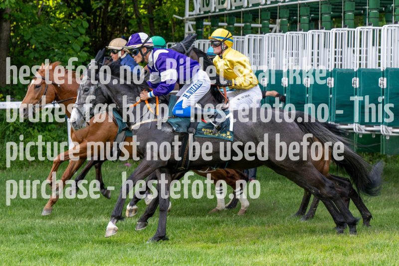 20240523-190916-DSC_8605
