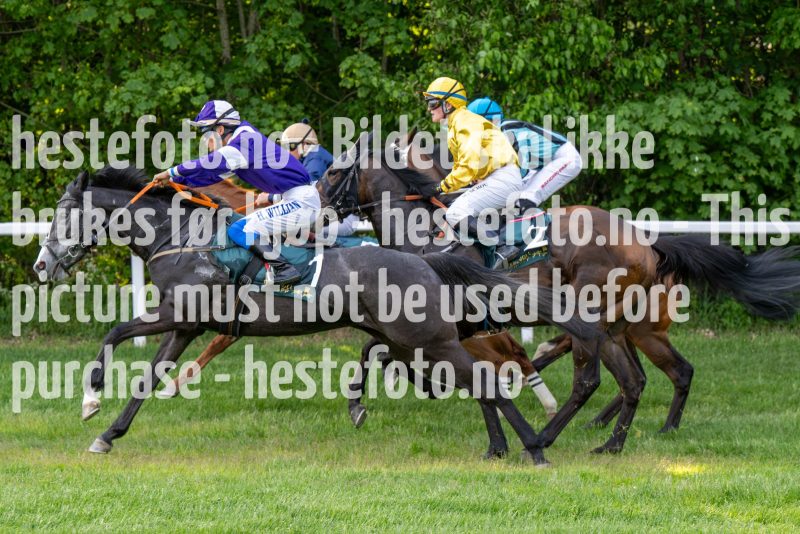 20240523-190916-DSC_8620