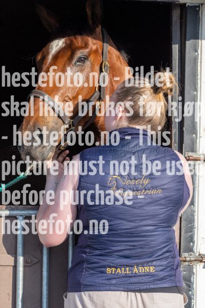 20240523-191938-DSC4495