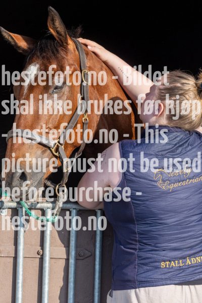 20240523-191954-DSC4503
