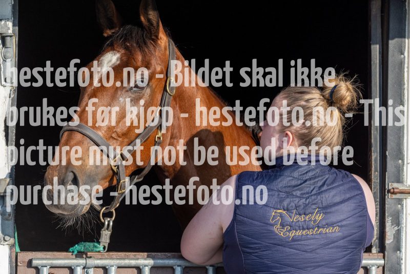 20240523-191956-DSC4506