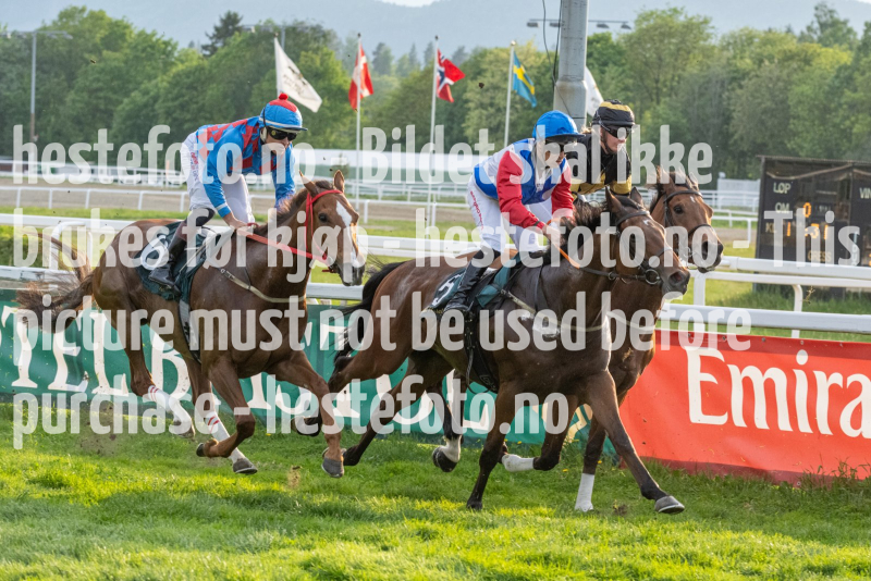 20240523-193147-DSC4585