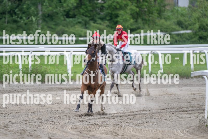 20240523-201552-DSC_9311